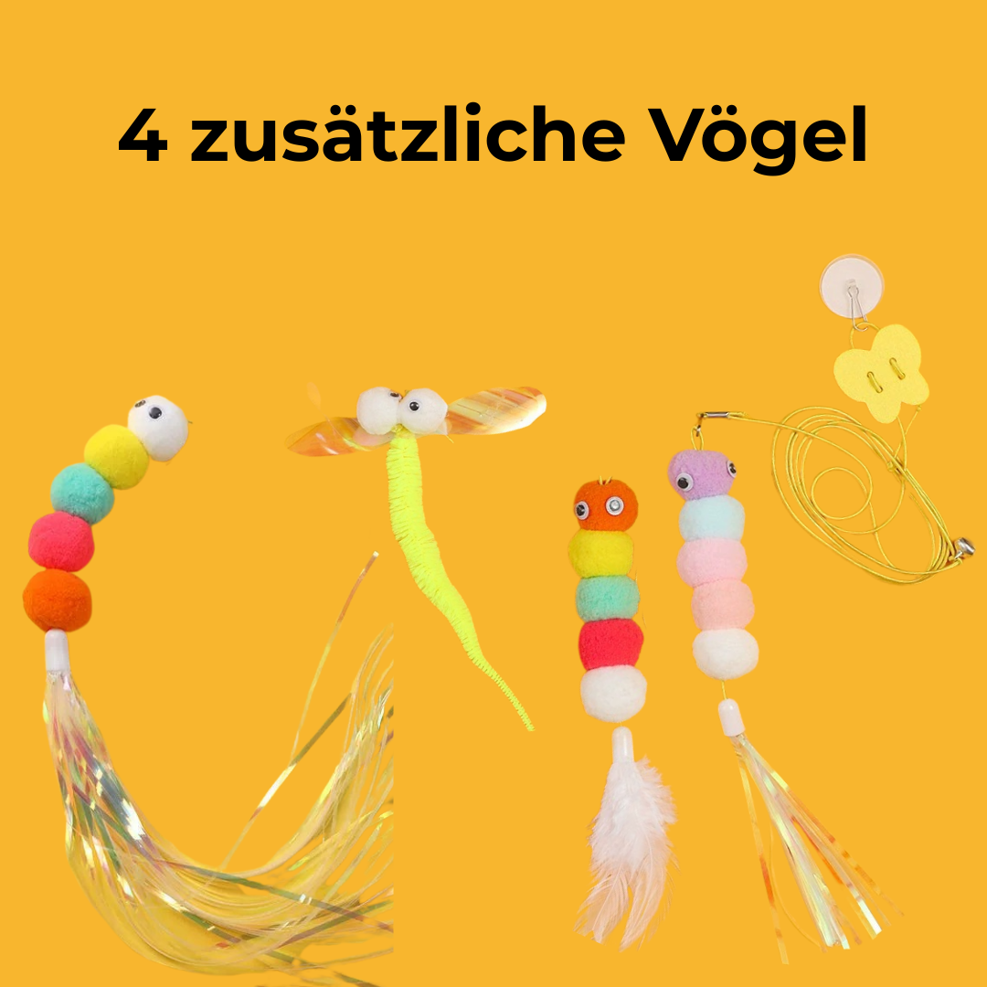4 zusätzliche Vögel