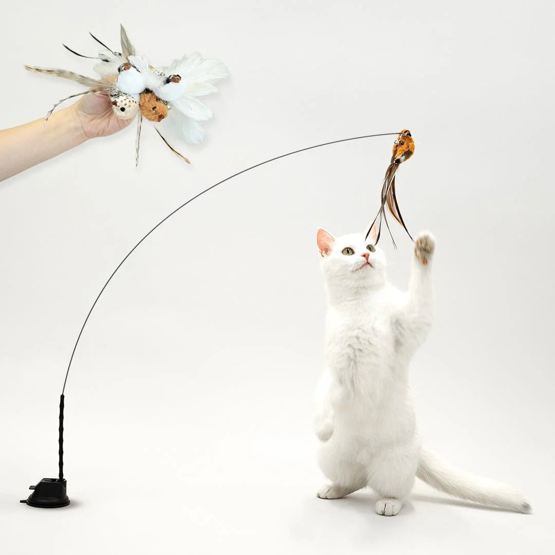 Interaktives Vogelspielzeugset™