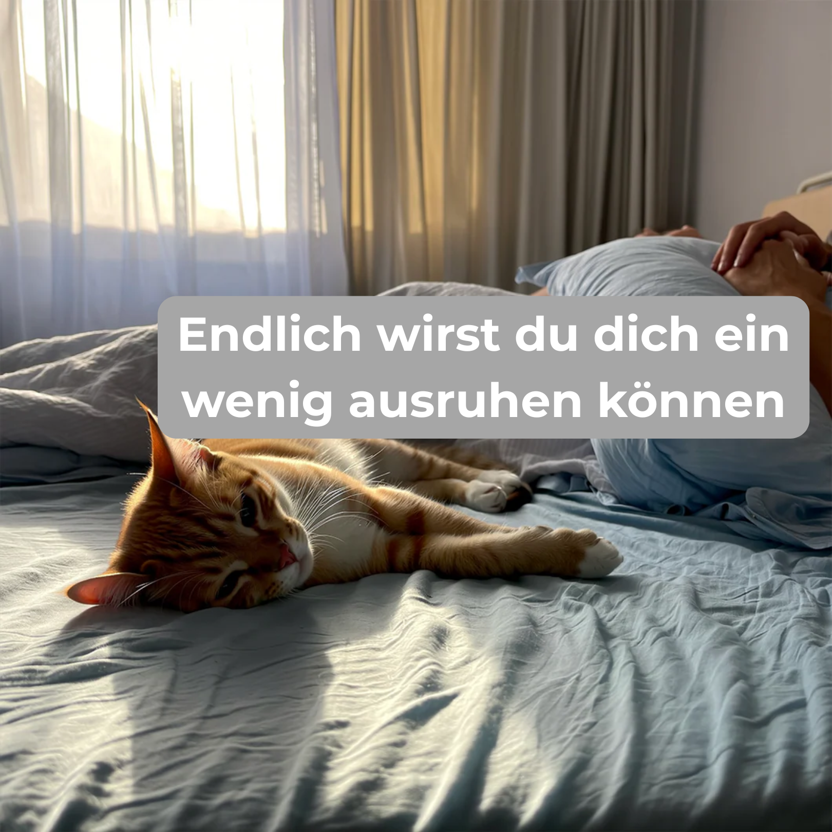 Behebe die Langeweile deiner Katze in Sekunden