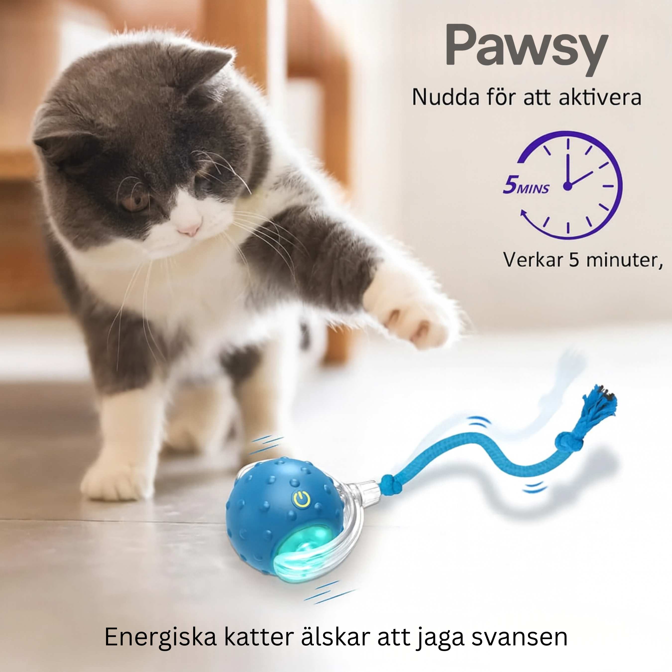 Pawsy – smart lek för glada katter