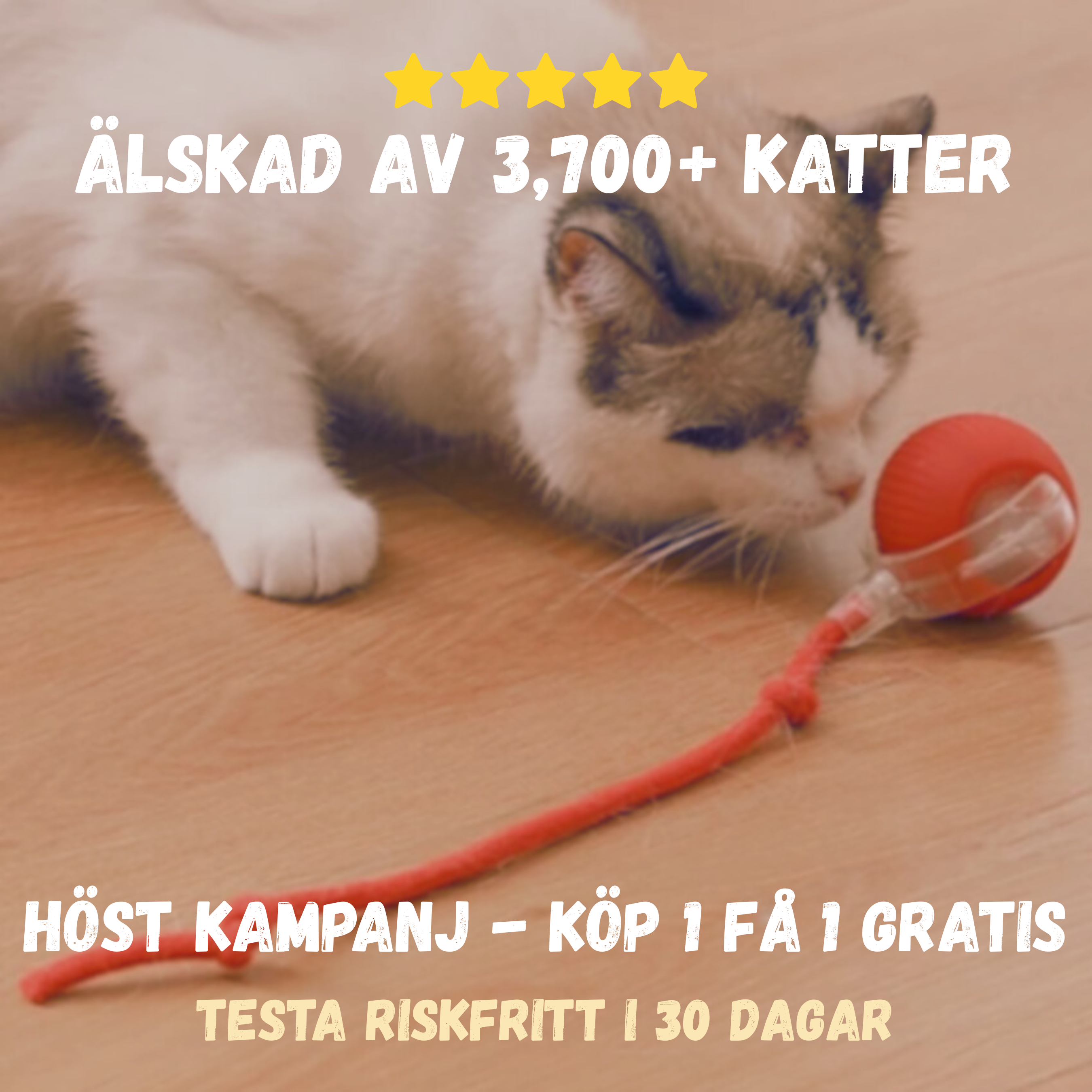 Pawsy – smart lek för glada katter